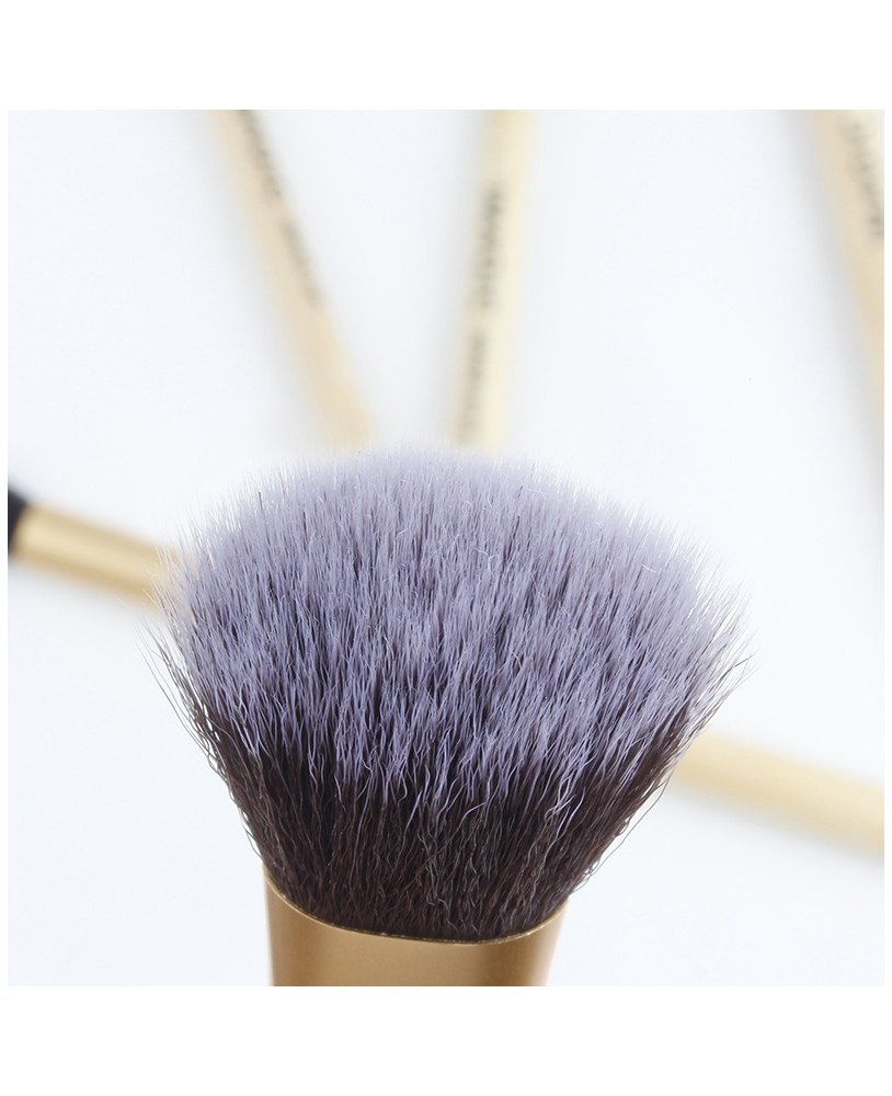 5 pcs Makeup Brush Set
