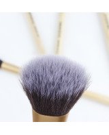 5 pcs Makeup Brush Set