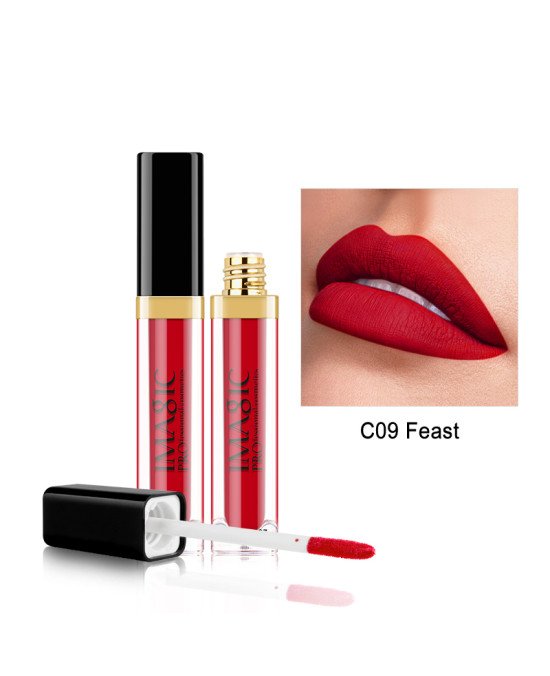 VELVET LIPGLOSS