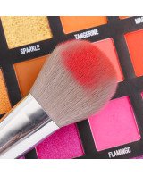 MAKEUP BEGINER FAV EYE&FACE BRUSH SET