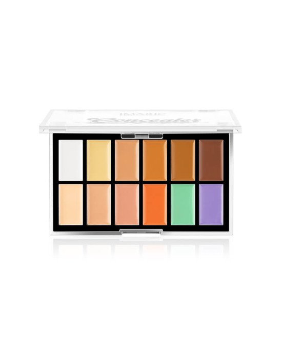 12 COLOR CONCEALER PALETTE